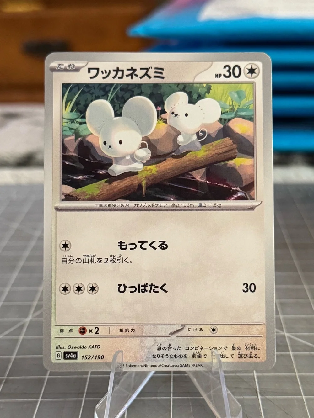 tandemaus pokemon cards 167/193 (Reverse holo) - Paldea Evolved RarityCommon Hit Points40 HP Colorless Tandemaus Pokemon Cards Price Guide